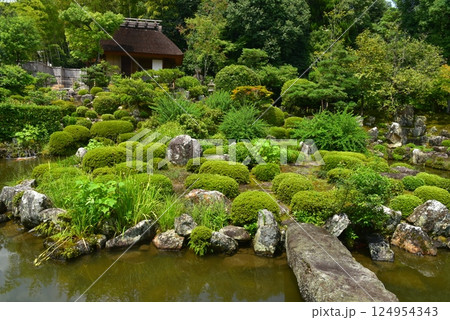 京都　等持院の庭園と茶室　清漣亭 124954343