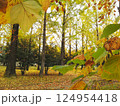 紅葉 124954418