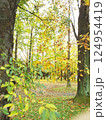 紅葉 124954419