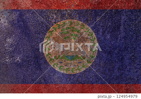 Belize state flag on a metal surface. Dirty grunge Belize flag. 124954979