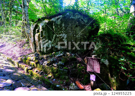 中国地方・大山隠岐国立公園・大神山神社奥宮の参道、自然石に彫られた吉持地蔵・鳥取県大山町(1) 中国地方・大山隠岐国立公園・大神山神社奥宮の参道、自然石に彫られた吉持地蔵・鳥取県大山町(1) 124955225