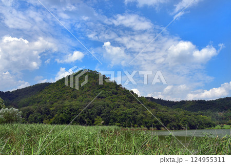 広沢池の景色 広沢池の景色 124955311