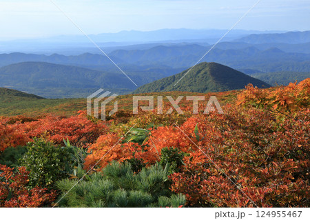 秋の紅葉の栗駒山 ( 東栗駒コース / いわかがみ平 から 東栗駒山 ) 124955467