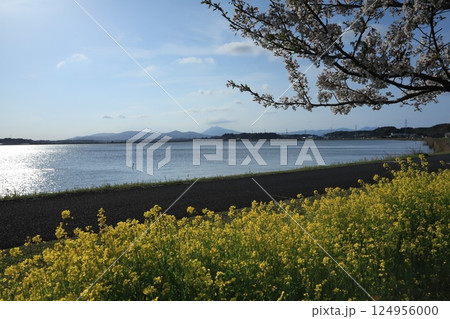 茨城県絶景霞ヶ浦と筑波山 124956000