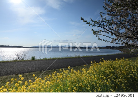 茨城県絶景霞ヶ浦と筑波山 124956001