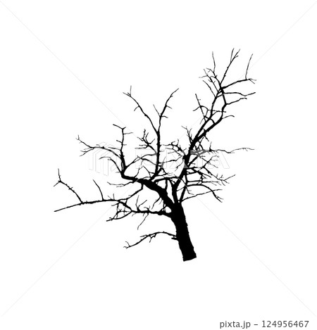Silhouette Bare Branch Without Leaves. Fragment of Winter Tree Vector 124956467
