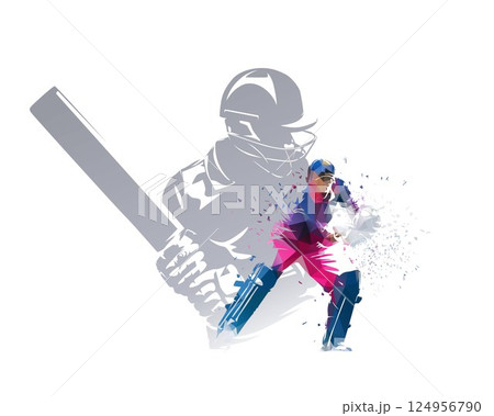 Cricket collage, group of cricket players, collage of isolated vector illustrations 124956790