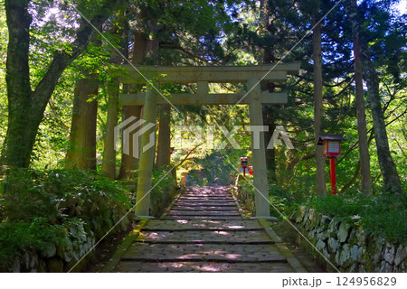 中国地方・大山隠岐国立公園・大神山神社奥宮の参道、途中に建つ鳥居・鳥取県大山町(2) 124956829