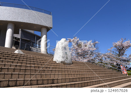 湘南平（高麗山公園） 124957026