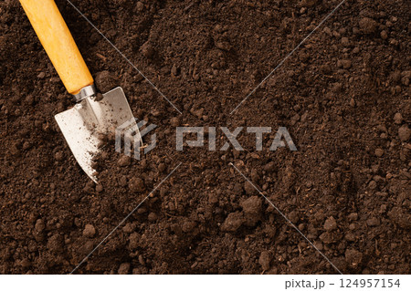 Garden hand cultivator and planting on soil. Season gardening and work. Hand rakes. Wood Small Sized Hand Cultivator. View from above. Copy space. Garden hand cultivator and planting on soil. Season gardening and work. Hand rakes. Wood Small Sized Hand Cultivator. View from above. Copy space. 124957154