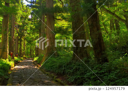 中国地方・大山隠岐国立公園・大神山神社奥宮、日本一長いと言われる石畳の参道の風景・鳥取県大山町(3) 124957179