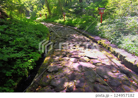 中国地方・大山隠岐国立公園・大神山神社奥宮、日本一長いと言われる石畳の参道の風景・鳥取県大山町(1) 124957182