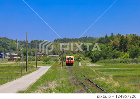 初夏の小湊鉄道 124957220