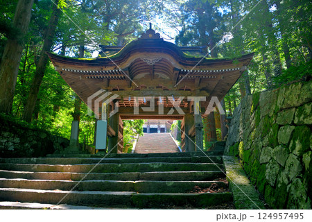 中国地方・大山隠岐国立公園・大神山神社奥宮、石畳の参道にある後向き門・鳥取県大山町(3) 124957495