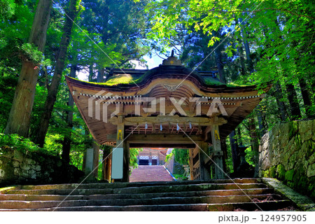中国地方・大山隠岐国立公園・大神山神社奥宮、石畳の参道にある後向き門・鳥取県大山町(6) 124957905