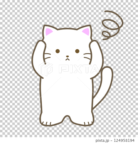 Shironeko/Confusion 124958194