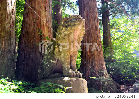 中国地方・大山隠岐国立公園・大神山神社奥宮、後向き門の奥で本殿を守る巨大な狛犬・鳥取県大山町(1) 中国地方・大山隠岐国立公園・大神山神社奥宮、後向き門の奥で本殿を守る巨大な狛犬・鳥取県大山町(1) 124958241