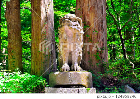 中国地方・大山隠岐国立公園・大神山神社奥宮、後向き門の奥で本殿を守る巨大な狛犬・鳥取県大山町(6) 124958246