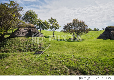 世界遺産の伊達市「北黄金貝塚」の園路のない北黄金貝塚公園 124958459