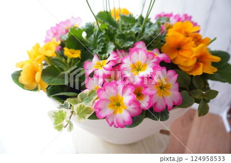 春の花、インテリア 124958533
