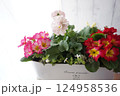 ブリキの植木鉢に植えられた花 124958536