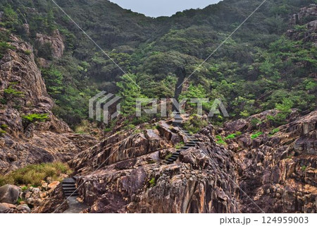 暴風雨で荒れ狂う竜宮神社への道のり 124959003