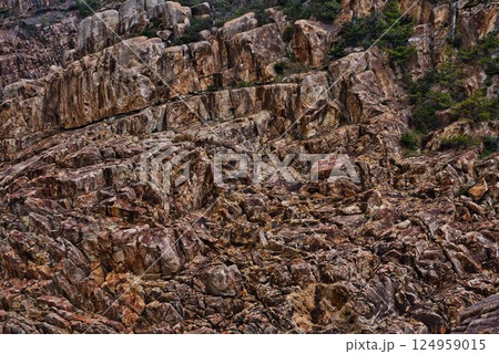 暴風雨で荒れ狂う竜宮神社への道のり 124959015