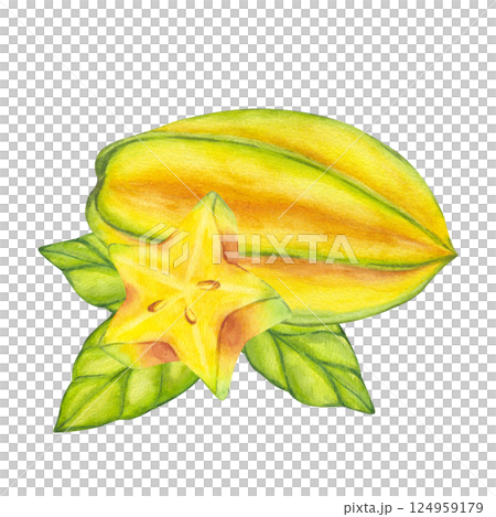 Watercolor starfruit. Averrhoa carambola or Bilimbi. Whole yellow fruit and slices with green leaf foliage. Botanical exotic star apple. Hand drawn illustration isolated on white background. For menu 124959179