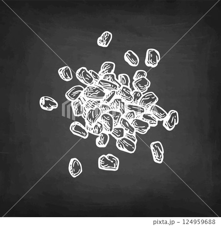 Fenugreek seeds chalk sketch Fenugreek seeds chalk sketch 124959688