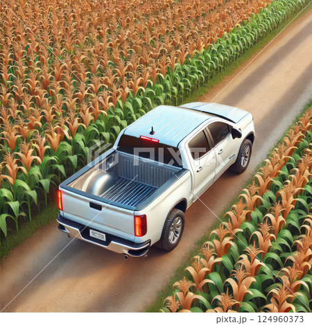 A white pickup truck drives through a cornfield. A white pickup truck drives through a cornfield. 124960373