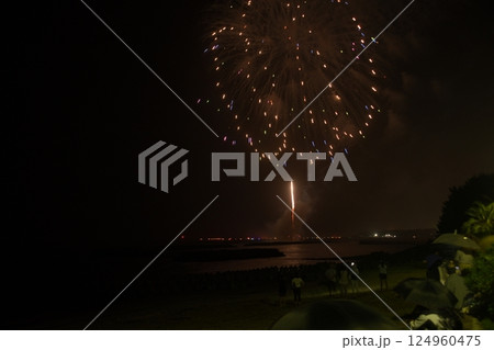 国東市（武蔵町）　大分合同新聞花火大会武蔵会場 124960475