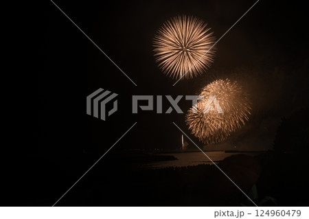 国東市（武蔵町）　大分合同新聞花火大会武蔵会場 124960479