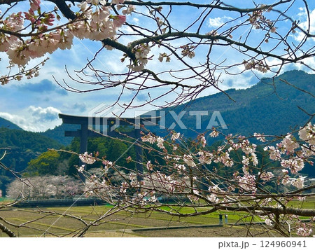 熊野本宮大社 大斎原の桜 熊野本宮大社 大斎原の桜 124960941