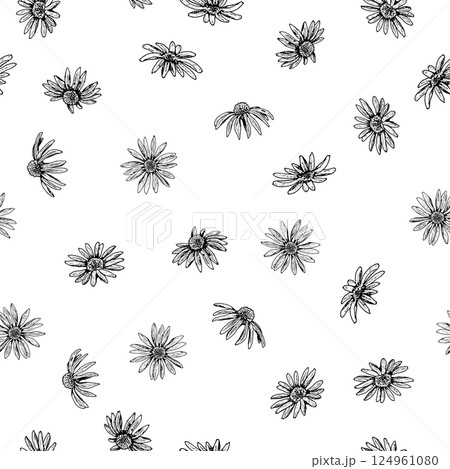 Seamless pattern with hand drawn wildflowers in ink. Featuring daisy-like blooms resembling echinacea, chamomile, calendula or rudbeckia. Ideal for eco packaging, textile, cards and botanical designs. 124961080