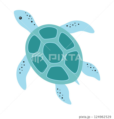 turtle isolated, flat style 124962529
