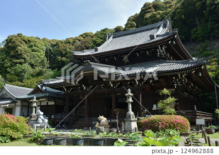 春の三室戸寺　本堂(京都府宇治市) 124962888