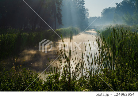 Morning on the river early morning reeds mist fog and water surface on the river Morning on the river early morning reeds mist fog and water surface on the river 124962954
