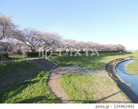 小畔水鳥の郷公園 124962992