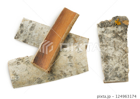 piece of aspen bark isolated on white background. Top view, flat lay piece of aspen bark isolated on white background. Top view, flat lay 124963174