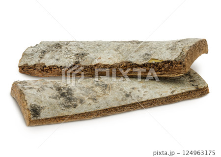piece of aspen bark isolated on white background. piece of aspen bark isolated on white background. 124963175