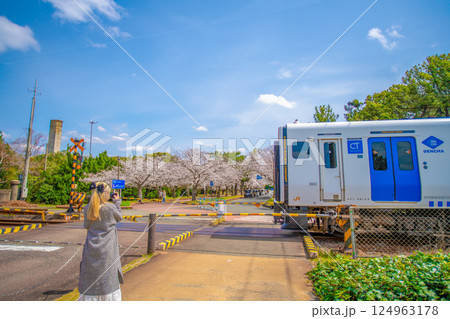 桜と香椎線の風景 桜と香椎線の風景 124963178