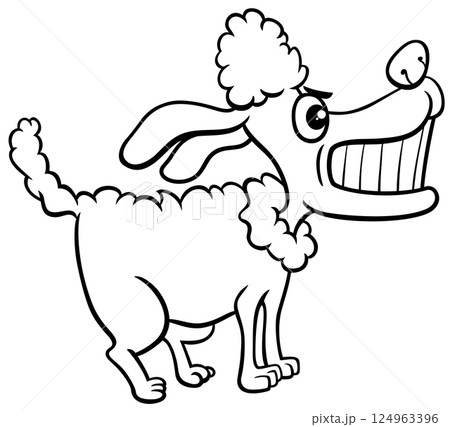 funny cartoon angry poodle purebred dog coloring page 124963396