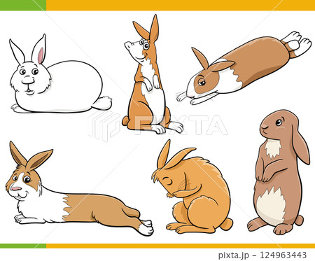 cute cartoon miniature rabbits animal characters set 124963443