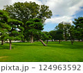 きれいな芝と松の公園 124963592