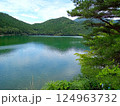緑豊かな自然に囲まれた湖 124963732