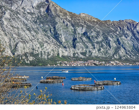 Oyster Farm Experience in Montenegro Oyster Farm Experience in Montenegro 124963804