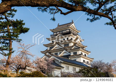 春の福山城と桜 124964681