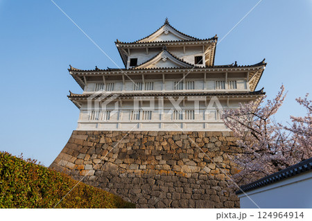 桜に彩られた伏見櫓 124964914