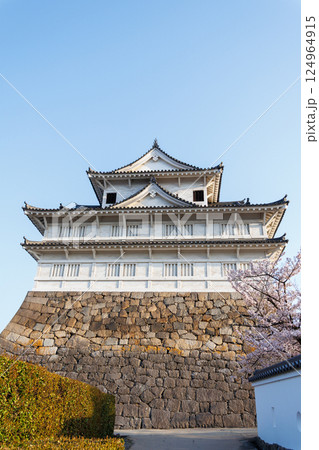 桜に彩られた伏見櫓 124964915