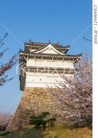 桜に彩られた伏見櫓 124964917